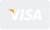Visa payment method